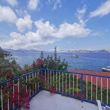 Mavi Akvaryum Pension Hotell Sogut  Eksteriør bilde