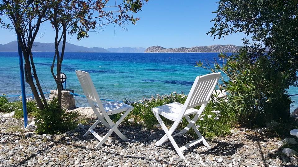 Mavi Akvaryum Pension Hotell Sogut  Eksteriør bilde