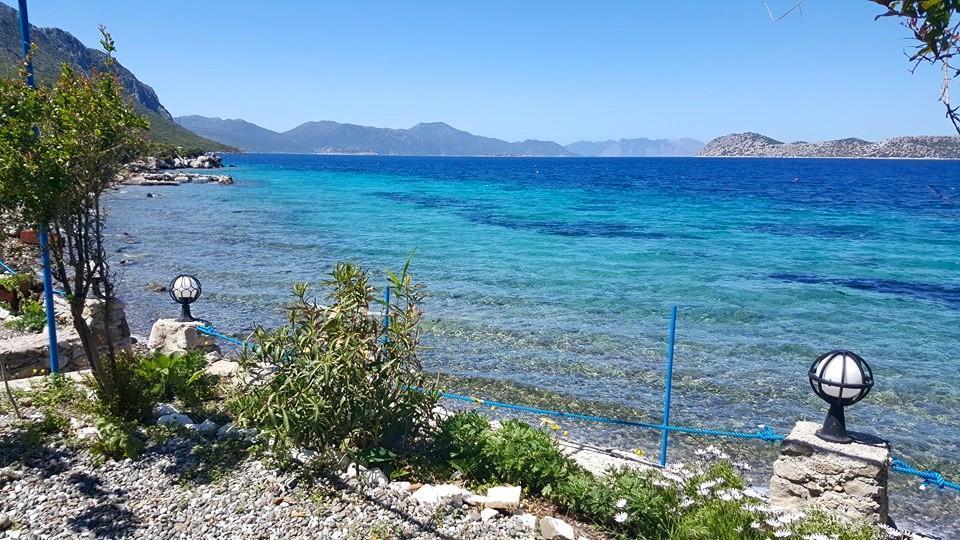 Mavi Akvaryum Pension Hotell Sogut  Eksteriør bilde