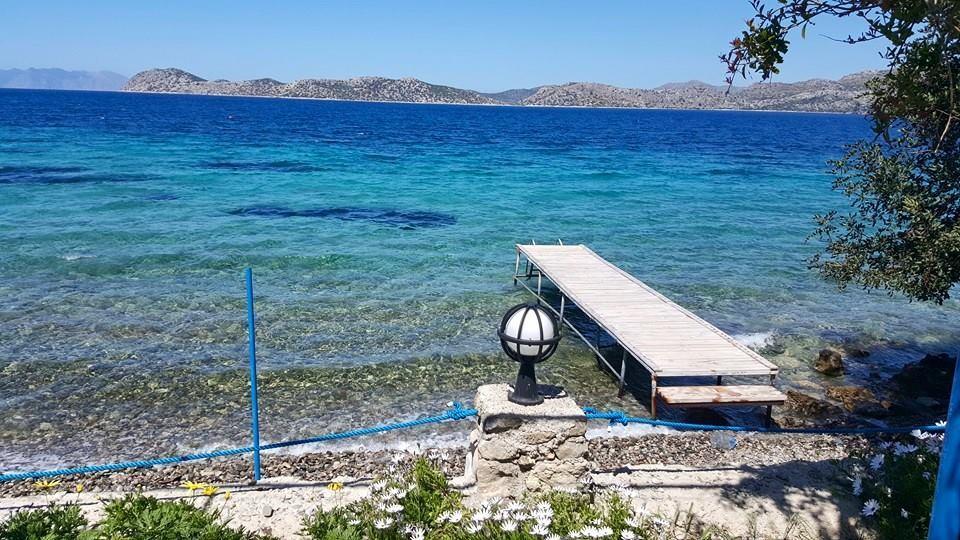 Mavi Akvaryum Pension Hotell Sogut  Eksteriør bilde