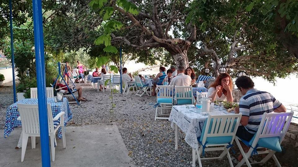 Mavi Akvaryum Pension Hotell Sogut  Eksteriør bilde