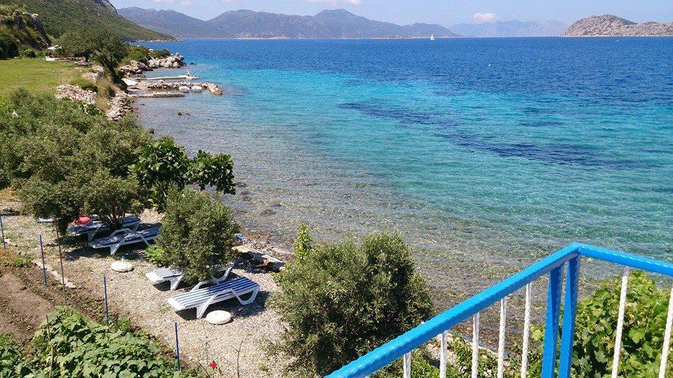 Mavi Akvaryum Pension Hotell Sogut  Eksteriør bilde