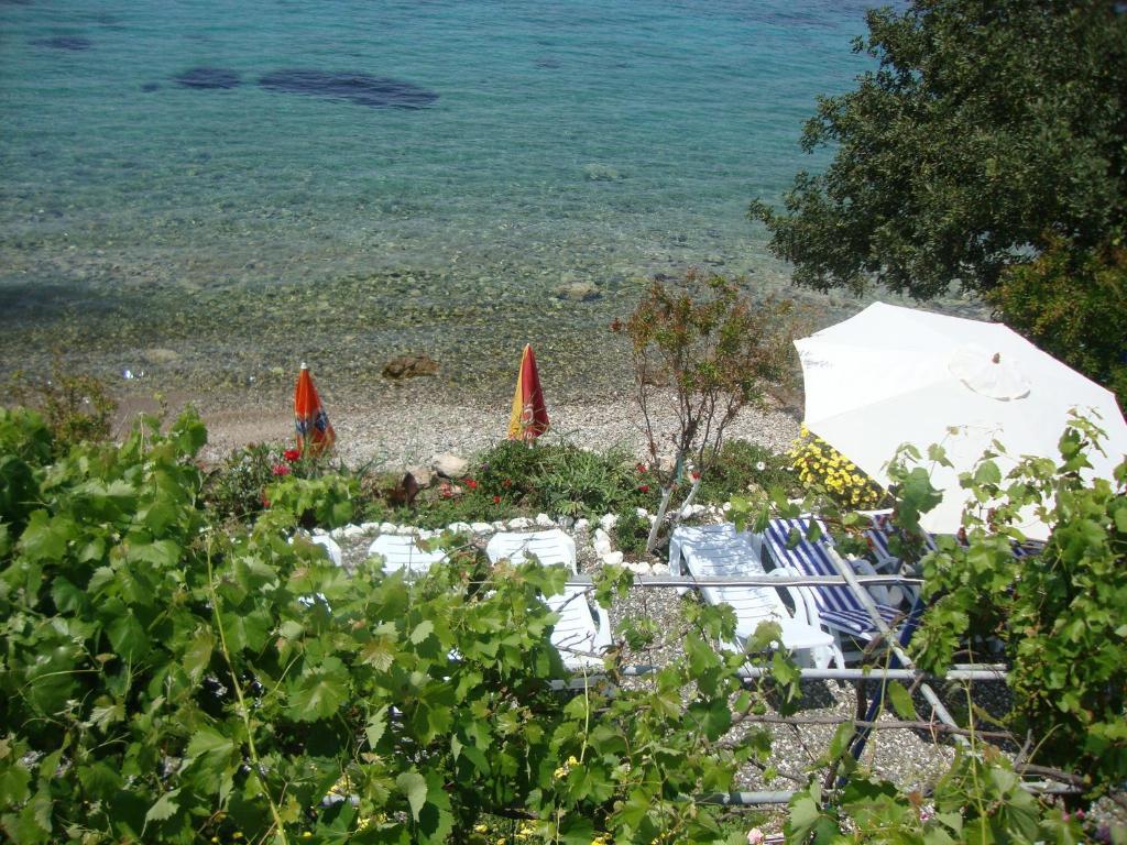 Mavi Akvaryum Pension Hotell Sogut  Eksteriør bilde